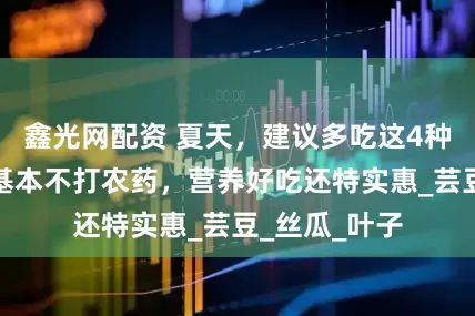 鑫光网配资 夏天，建议多吃这4种时令蔬菜，基本不打农药，营养好吃还特实惠_芸豆_丝瓜_叶子