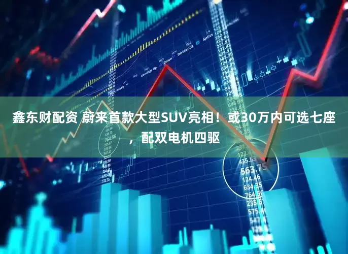 鑫东财配资 蔚来首款大型SUV亮相！或30万内可选七座，配双电机四驱