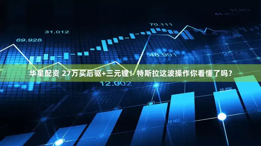 华星配资 27万买后驱+三元锂！特斯拉这波操作你看懂了吗？
