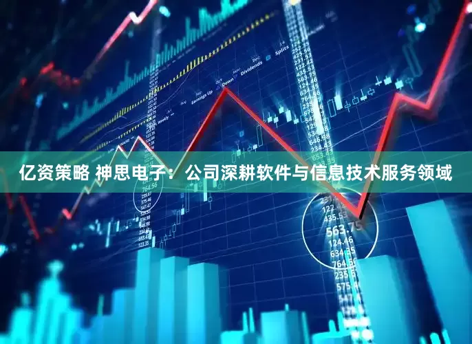 亿资策略 神思电子：公司深耕软件与信息技术服务领域