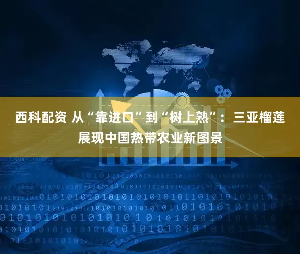 西科配资 从“靠进口”到“树上熟”：三亚榴莲展现中国热带农业新图景