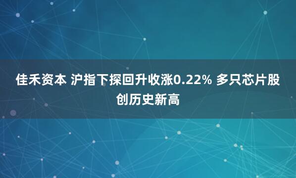 佳禾资本 沪指下探回升收涨0.22% 多只芯片股创历史新高